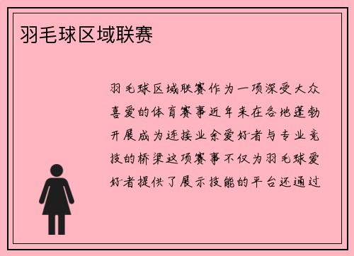 羽毛球区域联赛