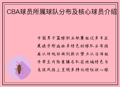 CBA球员所属球队分布及核心球员介绍